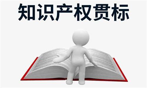 知識(shí)產(chǎn)權(quán)貫標(biāo)認(rèn)證在哪里可以認(rèn)證